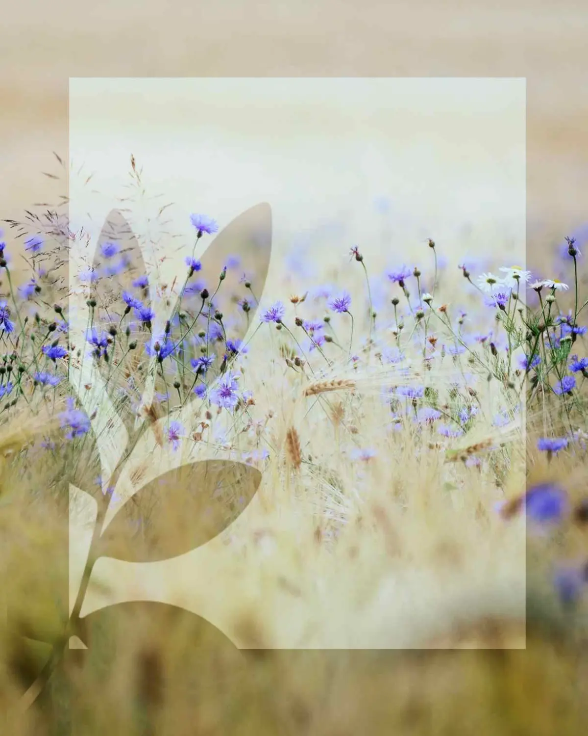 Löffler Blumen